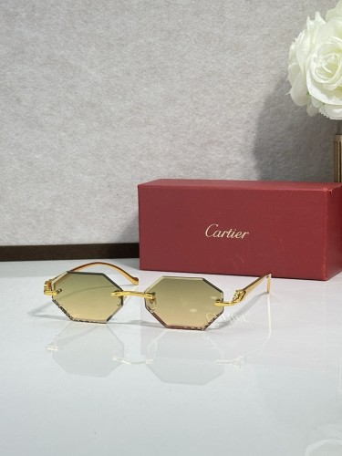 Cartier Sunglasses AAAA-14265