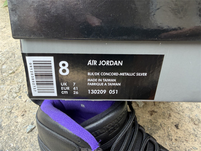 Authentic Jordan 10 OG Sacramento Kings