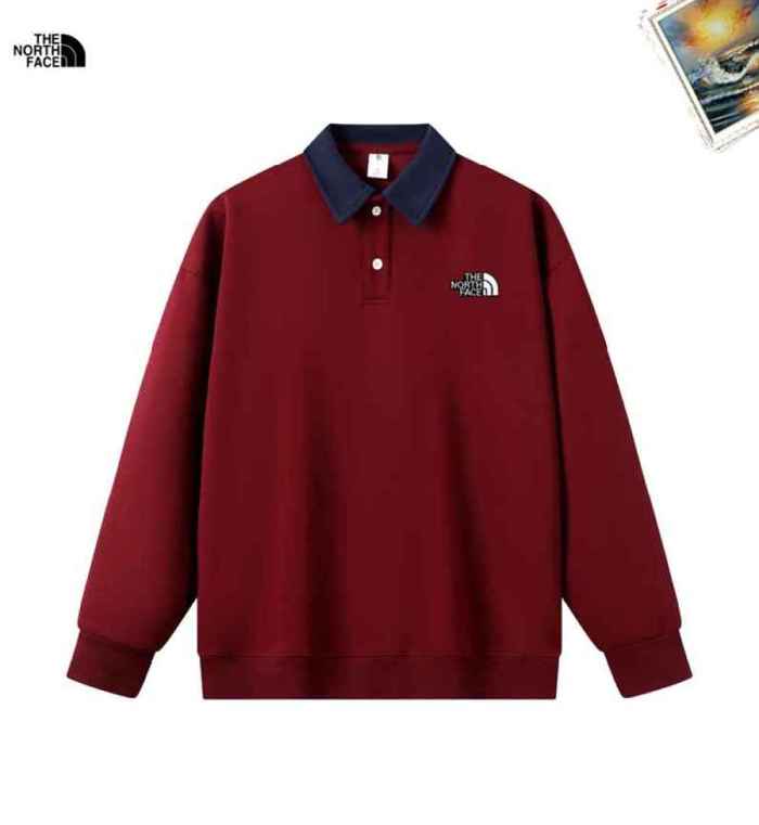 The North Face men Hoodies-147(S-XXXXXL)