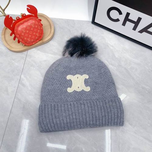 Celine Hats AAA-1769