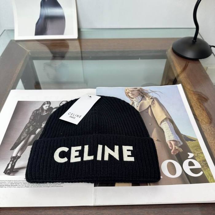 Celine Hats AAA-1748