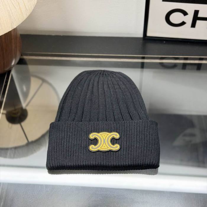 Celine Hats AAA-1753