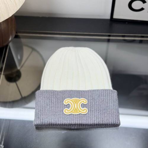 Celine Hats AAA-1757