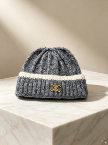 Celine Hats AAA-1764