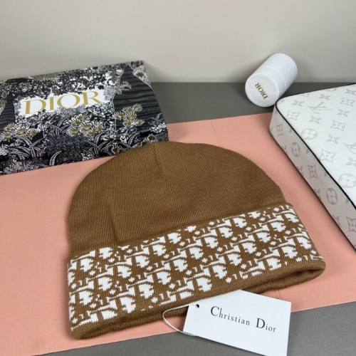 Dior Hats AAA-1472