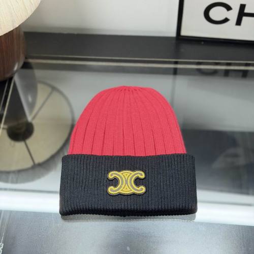 Celine Hats AAA-1752