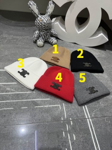 Celine Hats AAA-1797