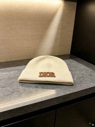 Dior Hats AAA-1527