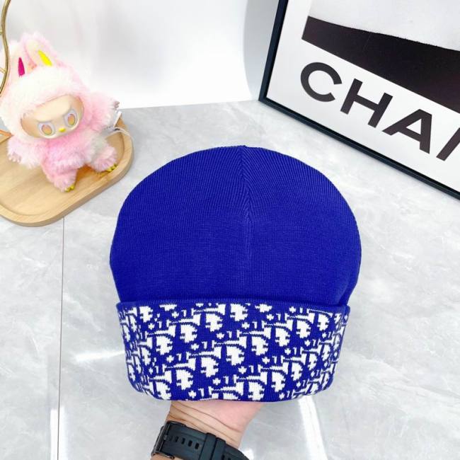 Dior Hats AAA-1498