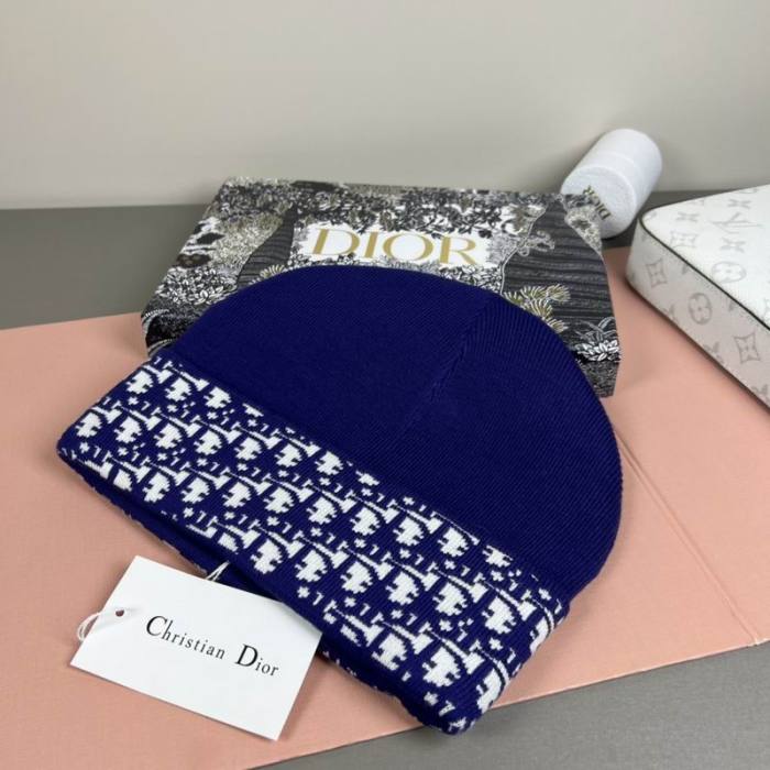 Dior Hats AAA-1494