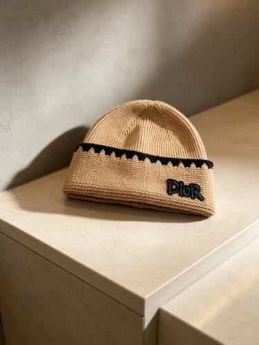 Dior Hats AAA-1512