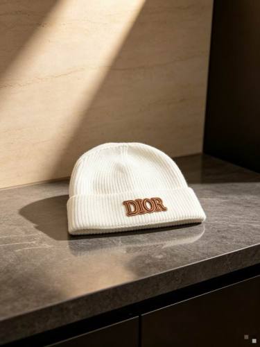 Dior Hats AAA-1525
