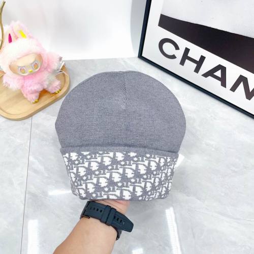 Dior Hats AAA-1501