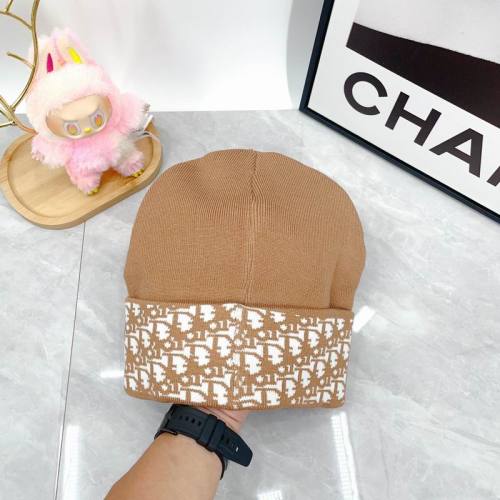 Dior Hats AAA-1502