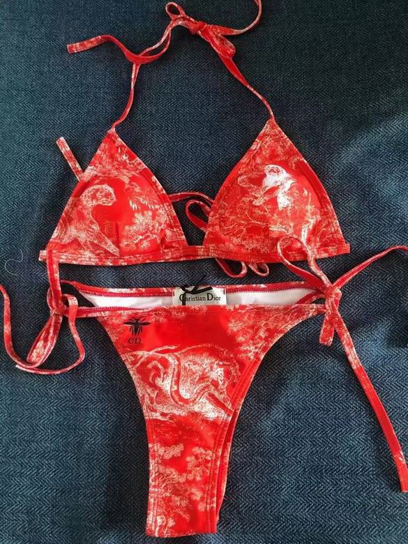 Dior  Bikini-119