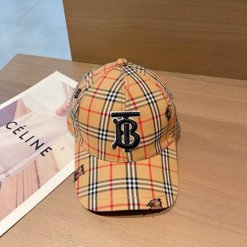 Burrerry Hats AAA-398