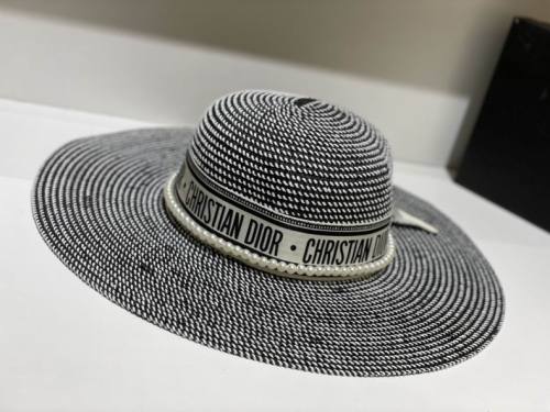 Dior Hats AAA-710