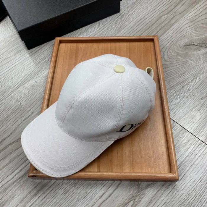 Dior Hats AAA-678