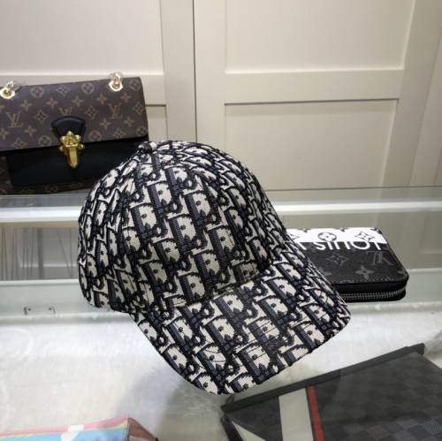 Dior Hats AAA-552