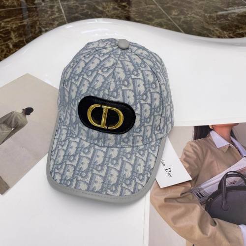 Dior Hats AAA-669
