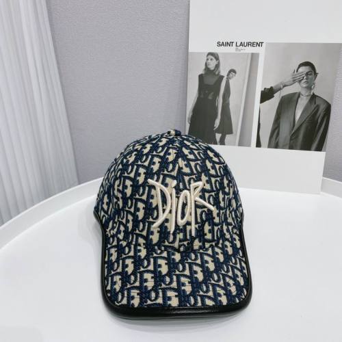 Dior Hats AAA-559