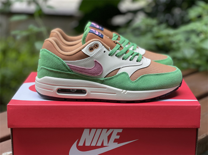 Authentic Nike Air Max 1 “Treeline”