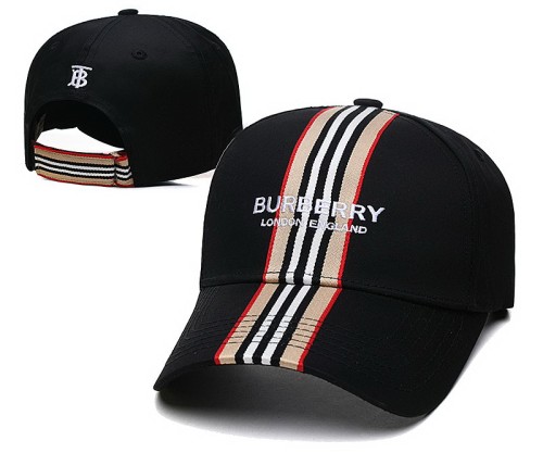 Burberry Hats-048