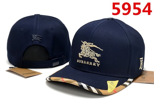 Burberry Hats-084