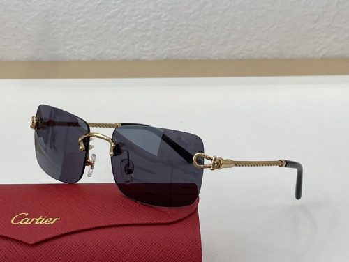 Cartier Sunglasses AAAA-695