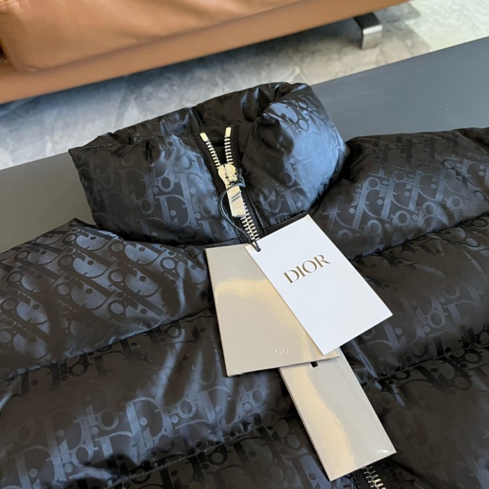 Dior Jacket 1：1 Quality-051