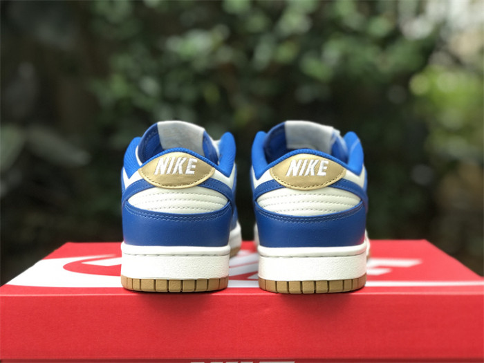 Authentic Nike SB Dunk Low FB7173-141