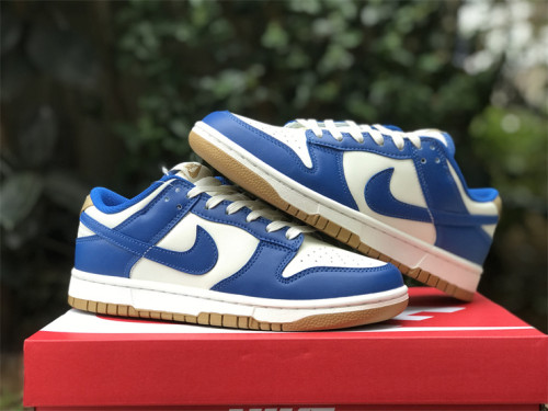 Authentic Nike SB Dunk Low FB7173-141