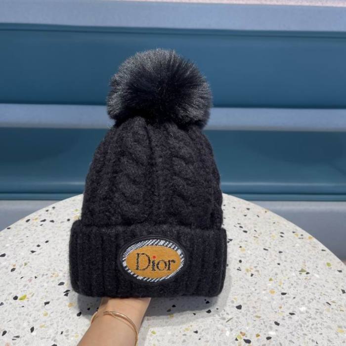 Dior Beanies-122