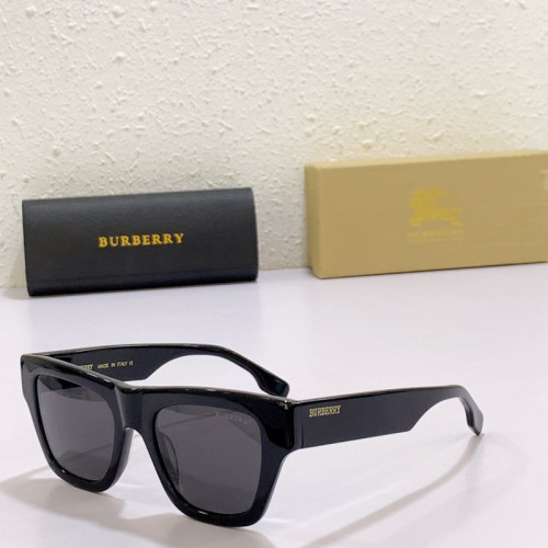 Burberry Sunglasses AAAA-1433