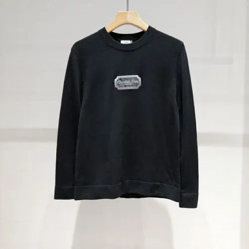 Dior Hoodies High End Quality-138