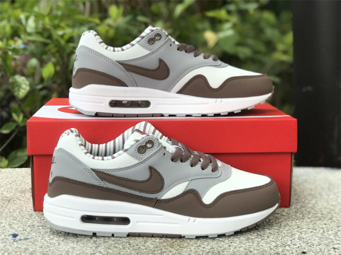 Authentic  Nike Air Max 1 “Shima Shima”