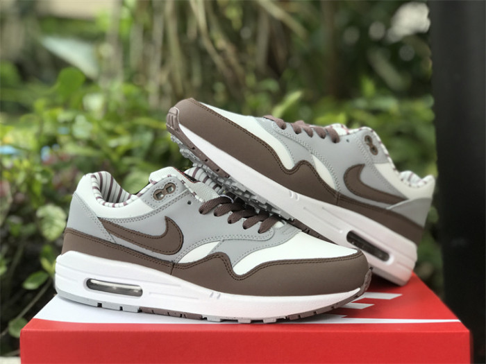 Authentic  Nike Air Max 1 “Shima Shima”