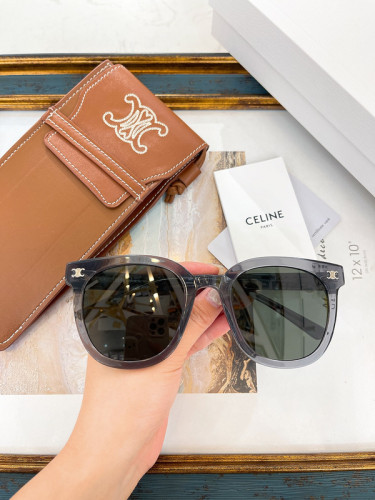 CE Sunglasses AAAA-816