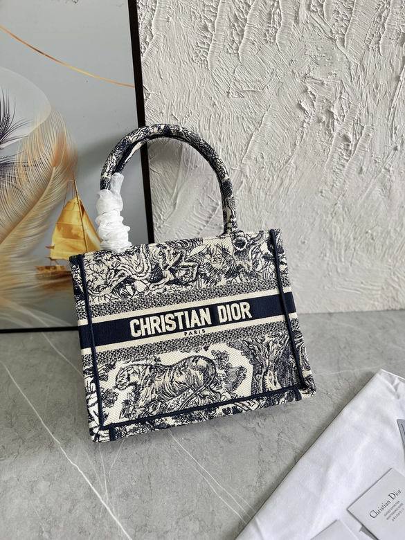 Dior Handbags AAA-258