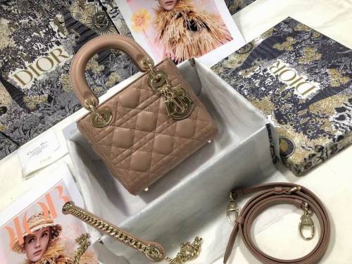 Dior Handbags AAA-164
