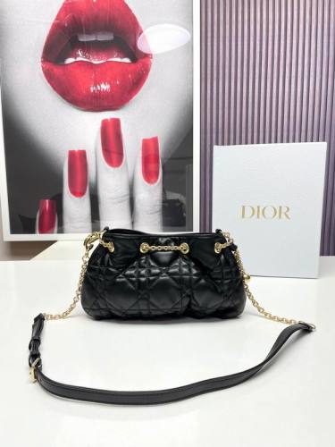 Dior Handbags AAA-067