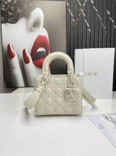 Dior Handbags AAA-193
