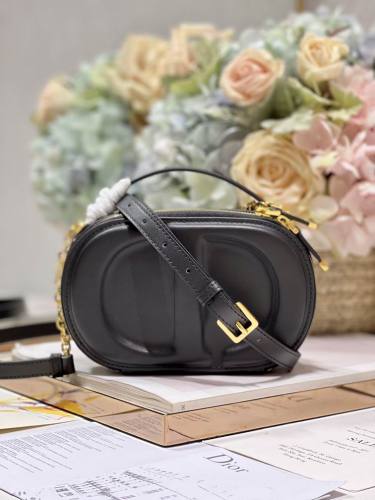 Dior Handbags AAA-104