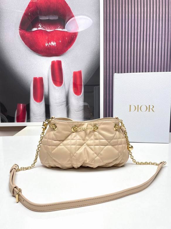 Dior Handbags AAA-068
