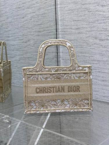 Dior Handbags AAA-020