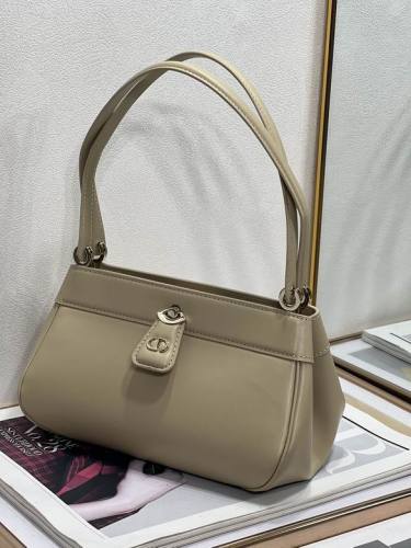 Dior Handbags AAA-087