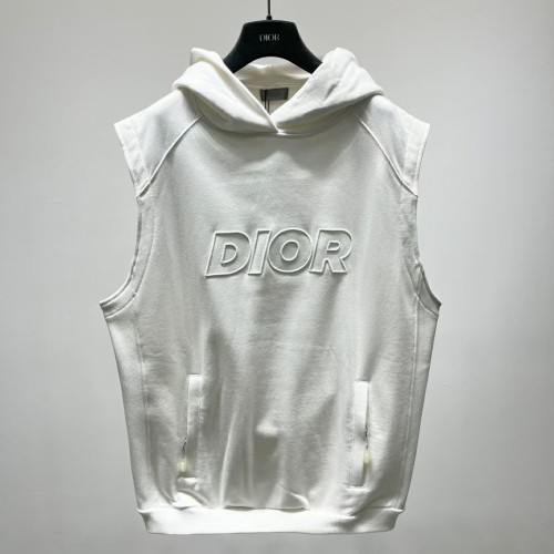 Dior Hoodies High End Quality-151