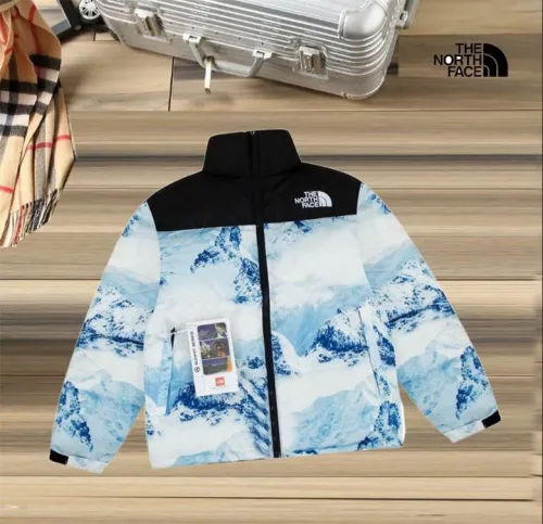 The North Face Down Coat-096 (M-XXL)