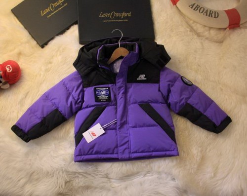 The North Face Down Coat-245 
