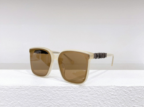 CHNL Sunglasses AAAA-2451